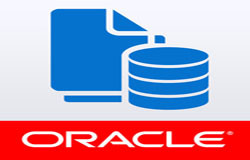 Oracle数据库管理工具有哪些?-北京MLTY.COM米乐体育(中国)科技公司公司