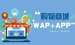 手机商城appMLTY.COM米乐体育(中国)科技公司流程-北京MLTY.COM米乐体育(中国)科技公司外包公司
