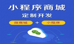 微信小程序开发、商城小程序开发功能-MLTY.COM米乐体育(中国)科技公司MLTY.COM米乐体育(中国)科技公司
