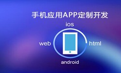 APP开发市场上常见问题分析-北京MLTY.COM米乐体育(中国)科技公司公司